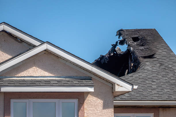 Top rated local Fire Damage Removal specialists in Dublin, OH